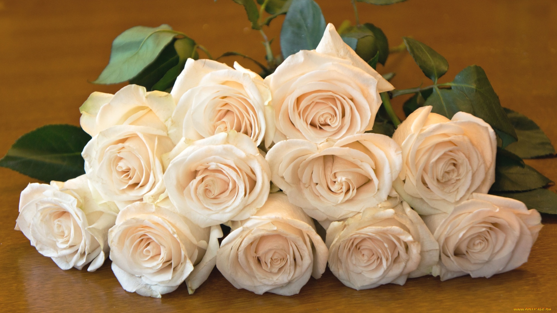 Фотография красивых 11 роз