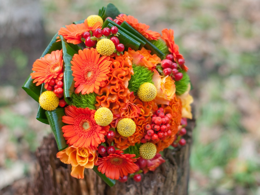 Фото осеннего букета из хризантем и других цветов