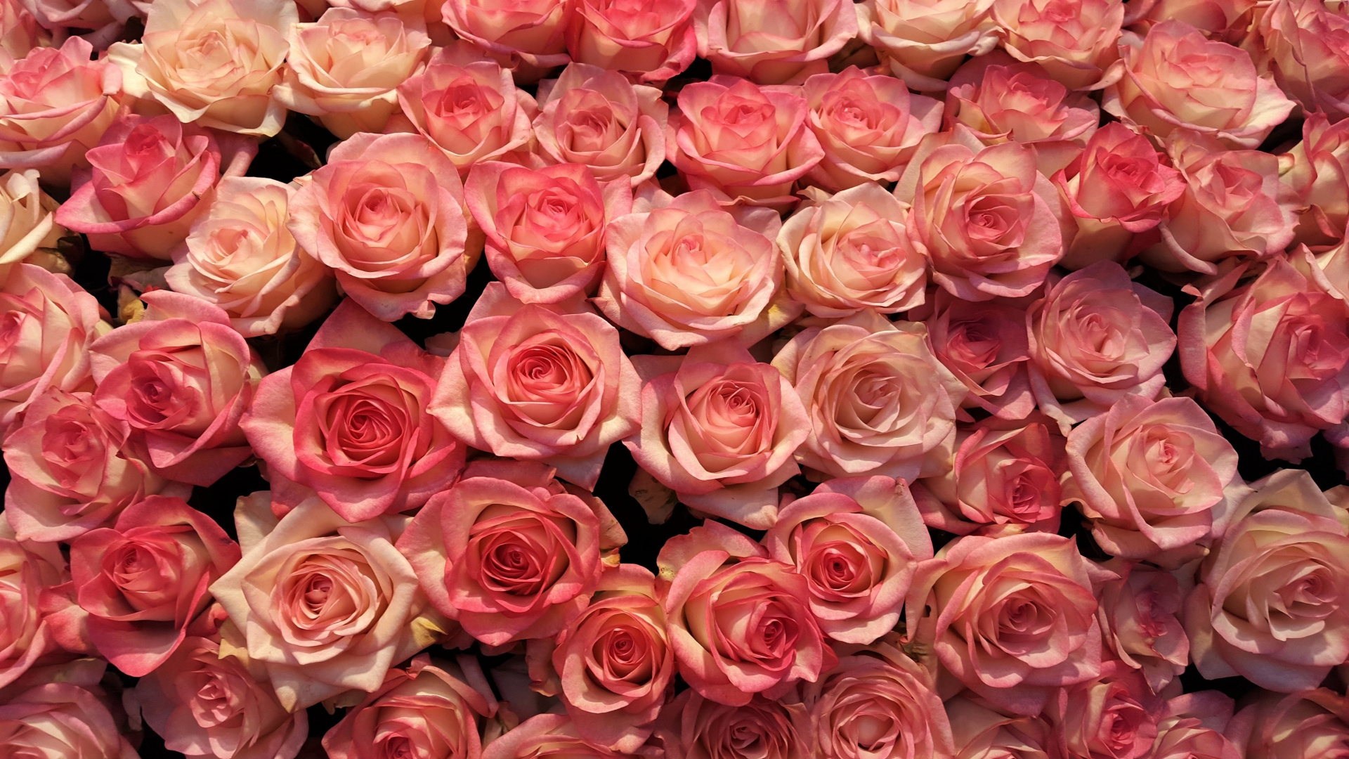 Картинка с букетом из прекрасных роз