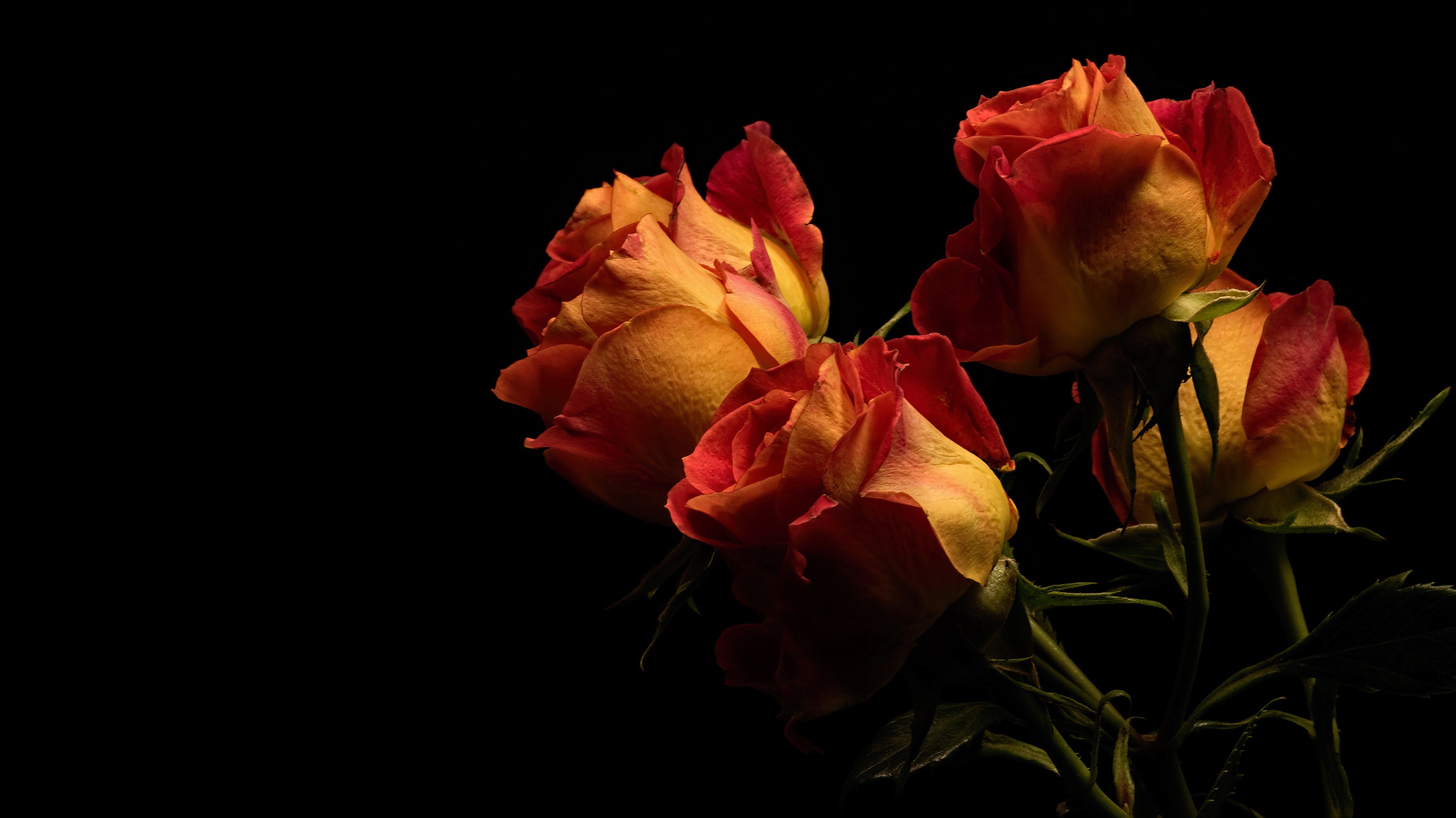 Красивая картинка с 7 розами