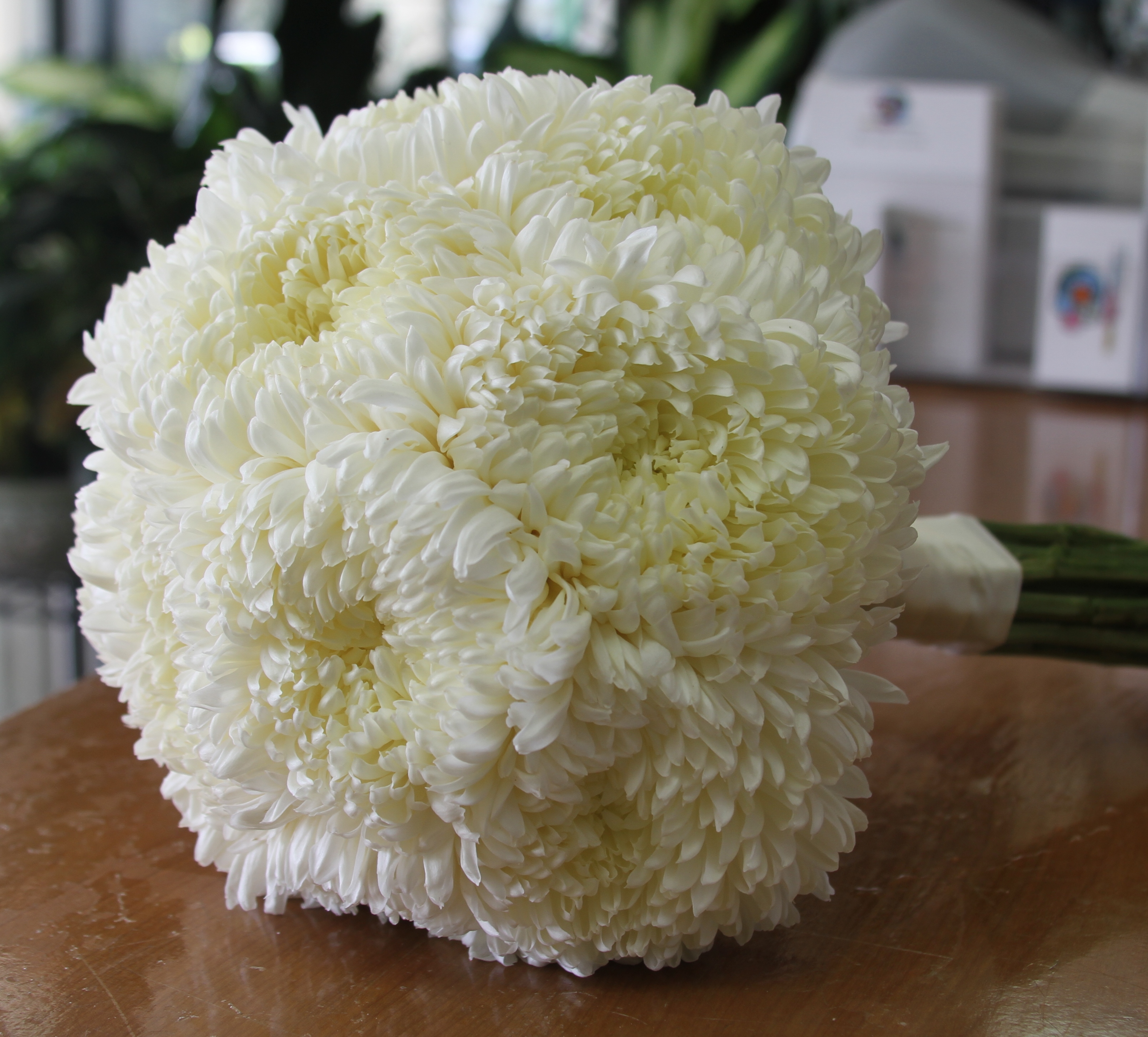 Фото букета из белых хризантем на свадьбу