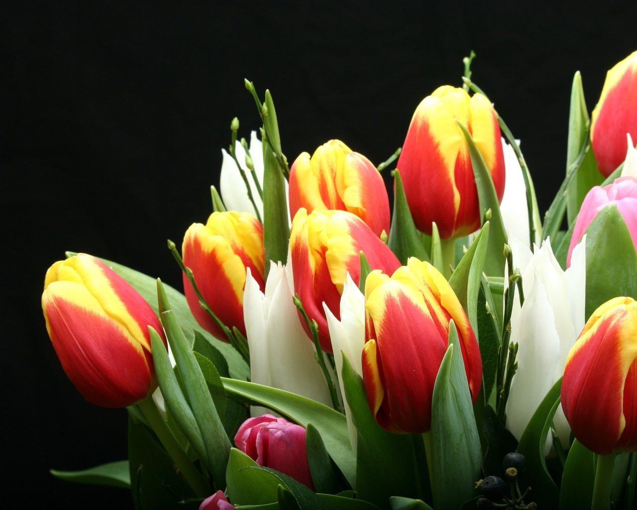 Фото букета тюльпанов