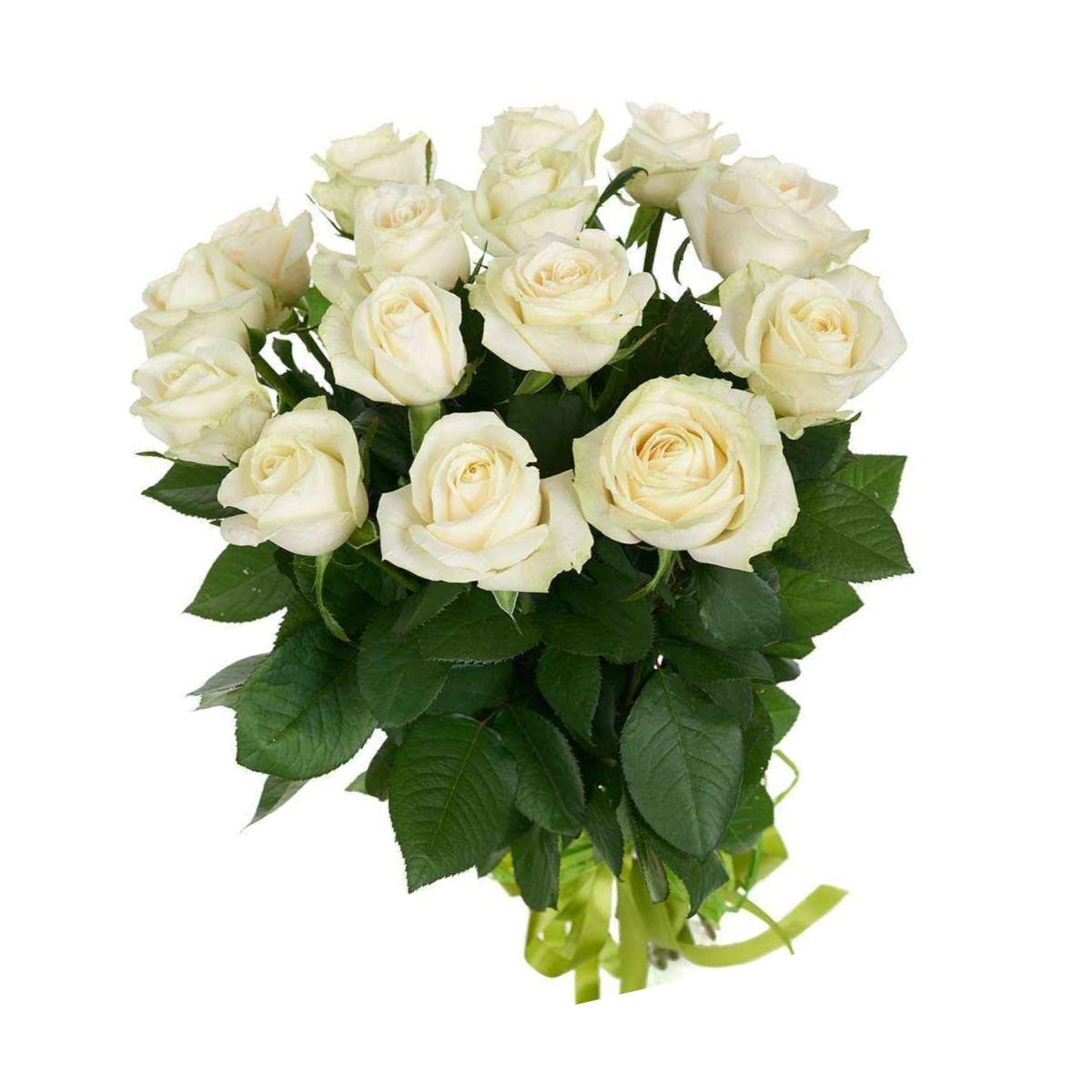 Букет белых роз от 15 шт.