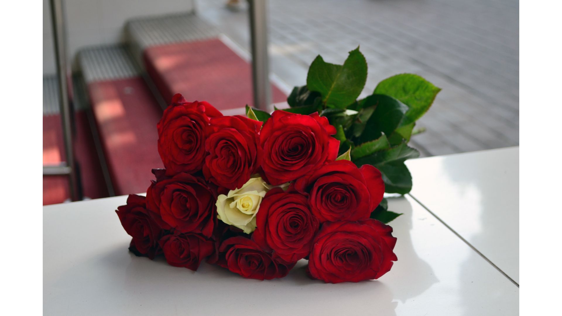 Фото красивого и недорогого букета из 11 роз