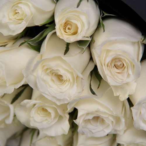 Фото доставленных белых кенийских роз