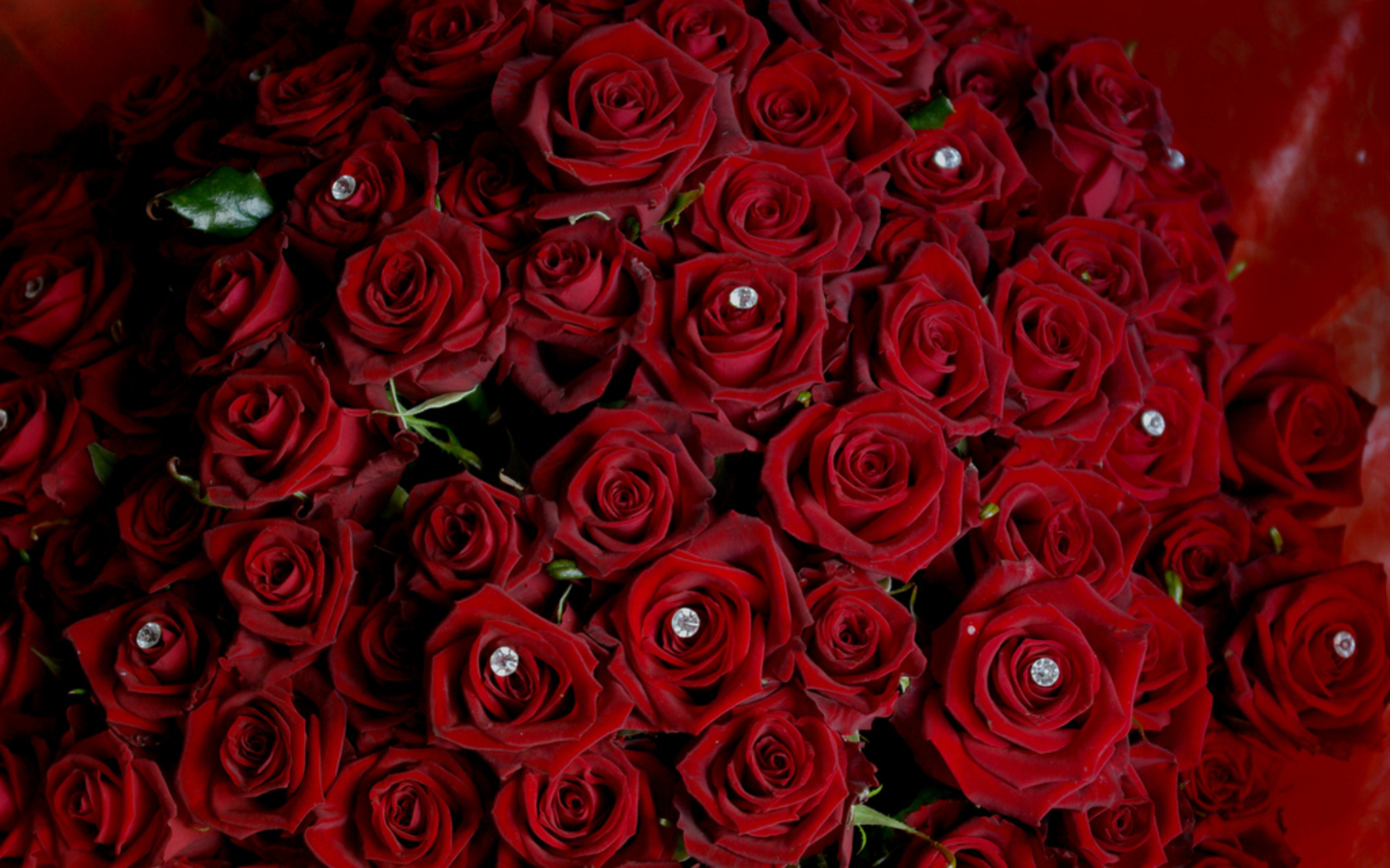 Фото букета бордовых роз