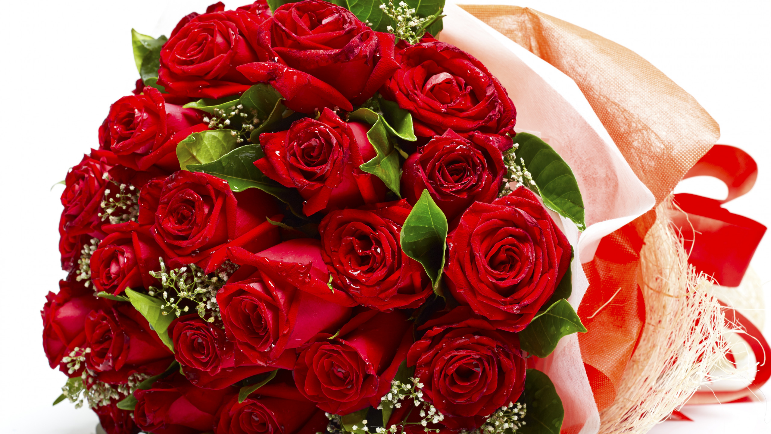 Фото букета из 25 красных роз