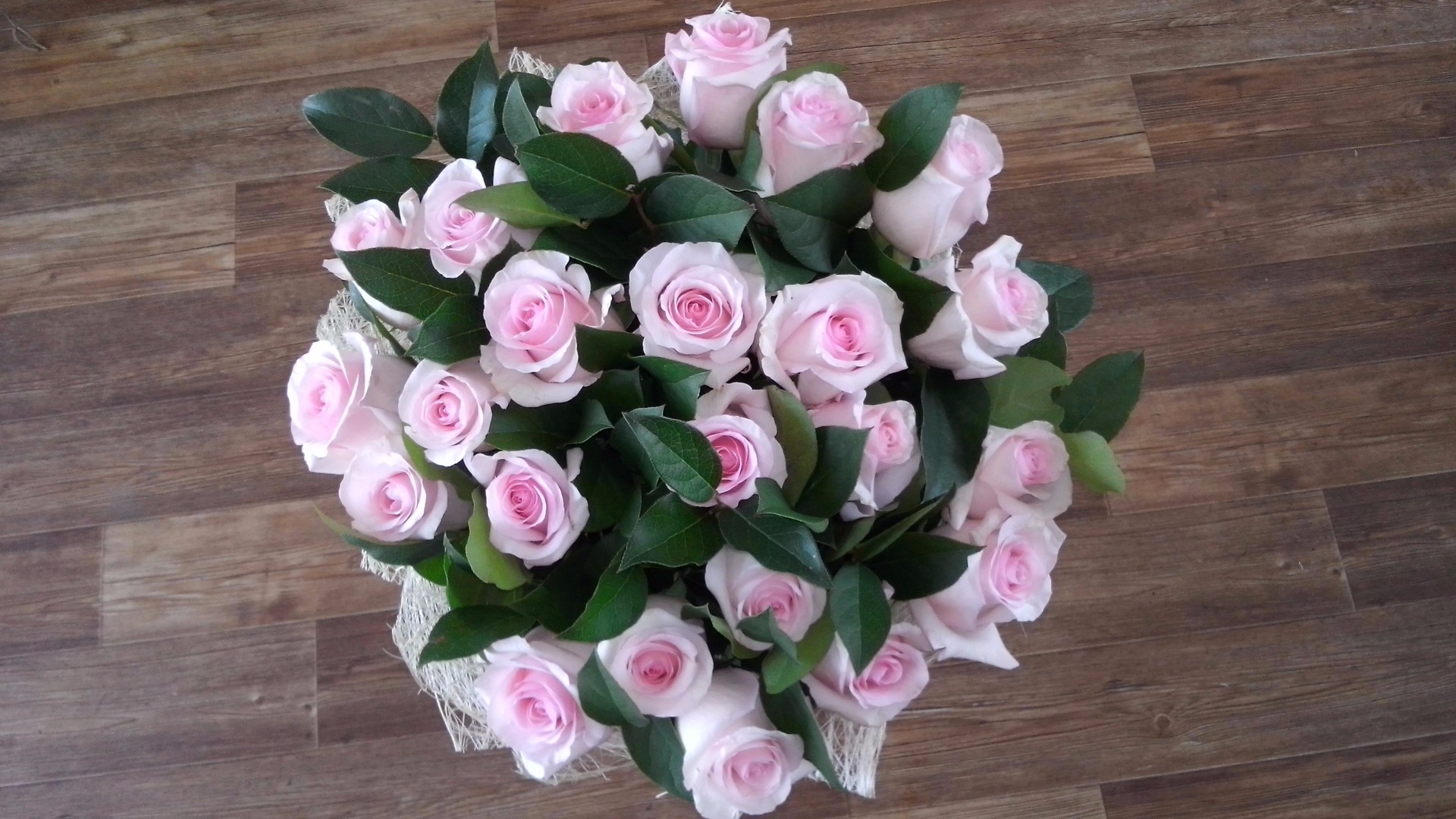 Фото красивого и нежного букета из 25 роз