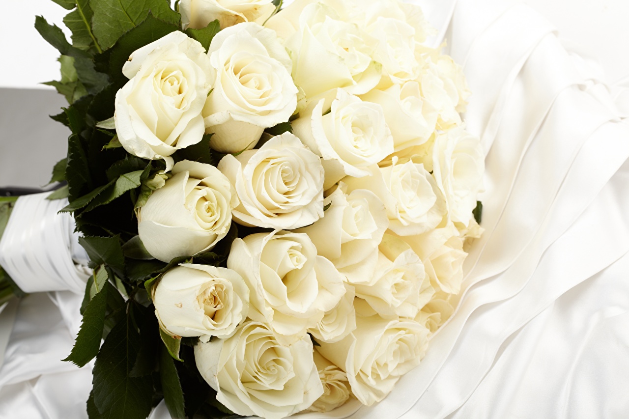 Фото букета из белых роз