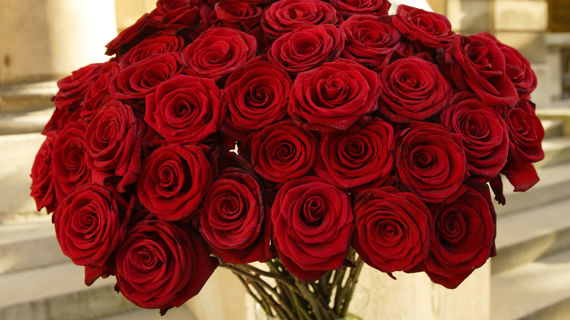 Фото букета из красных роз