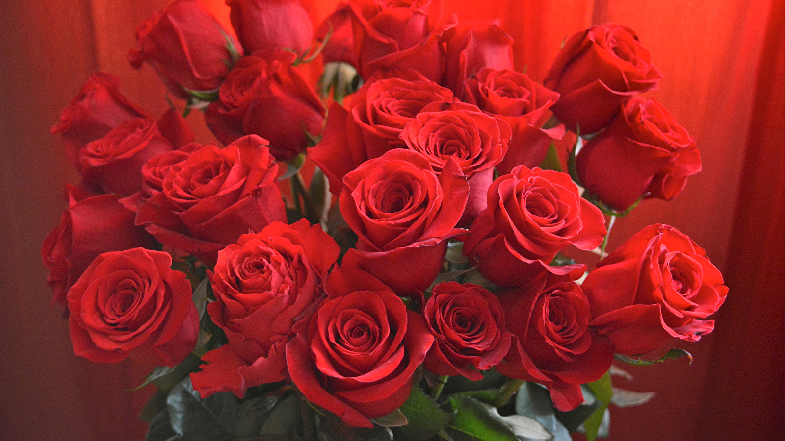 Фото классического букета из красных роз