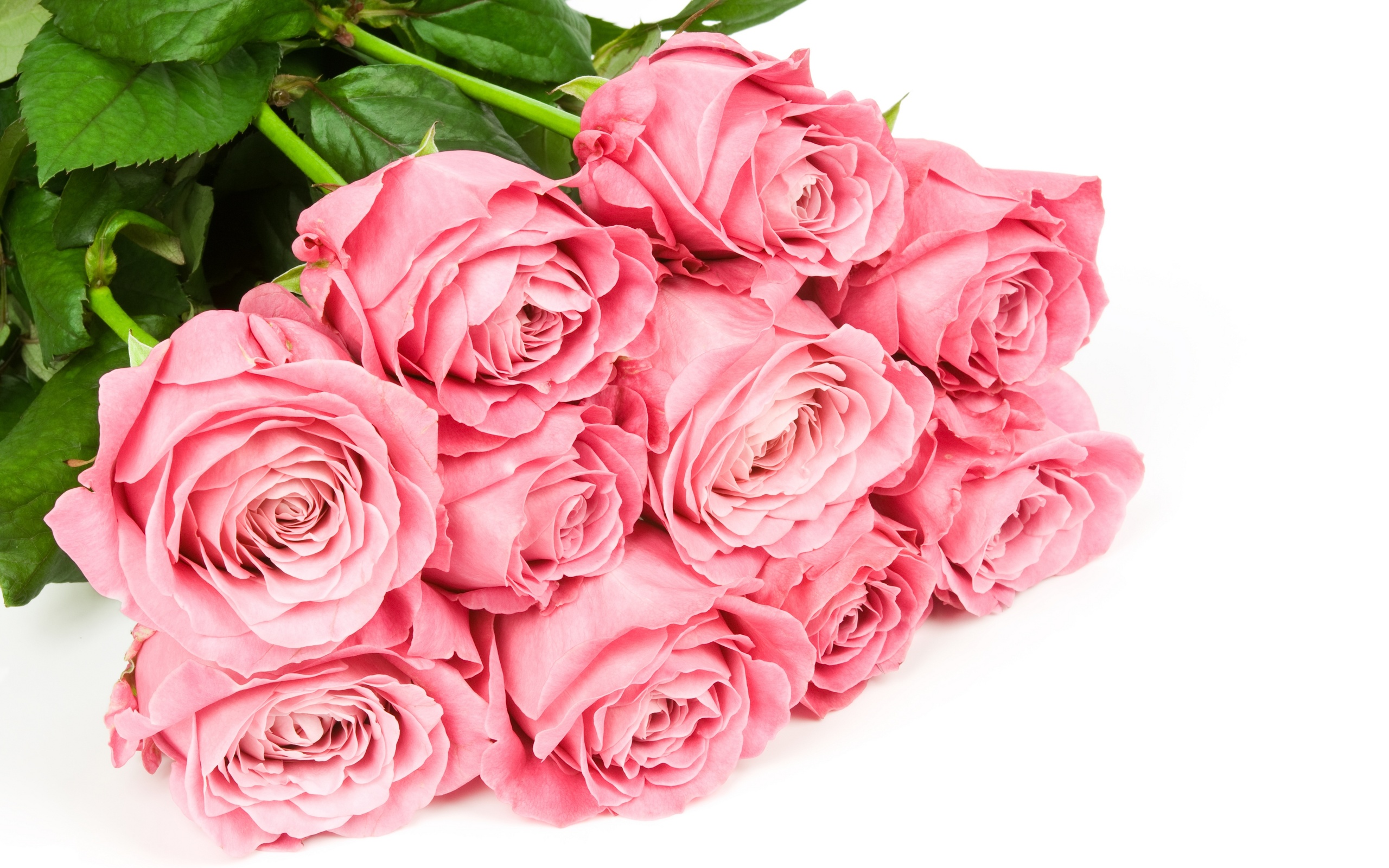 Фото приятного букета из розовых роз