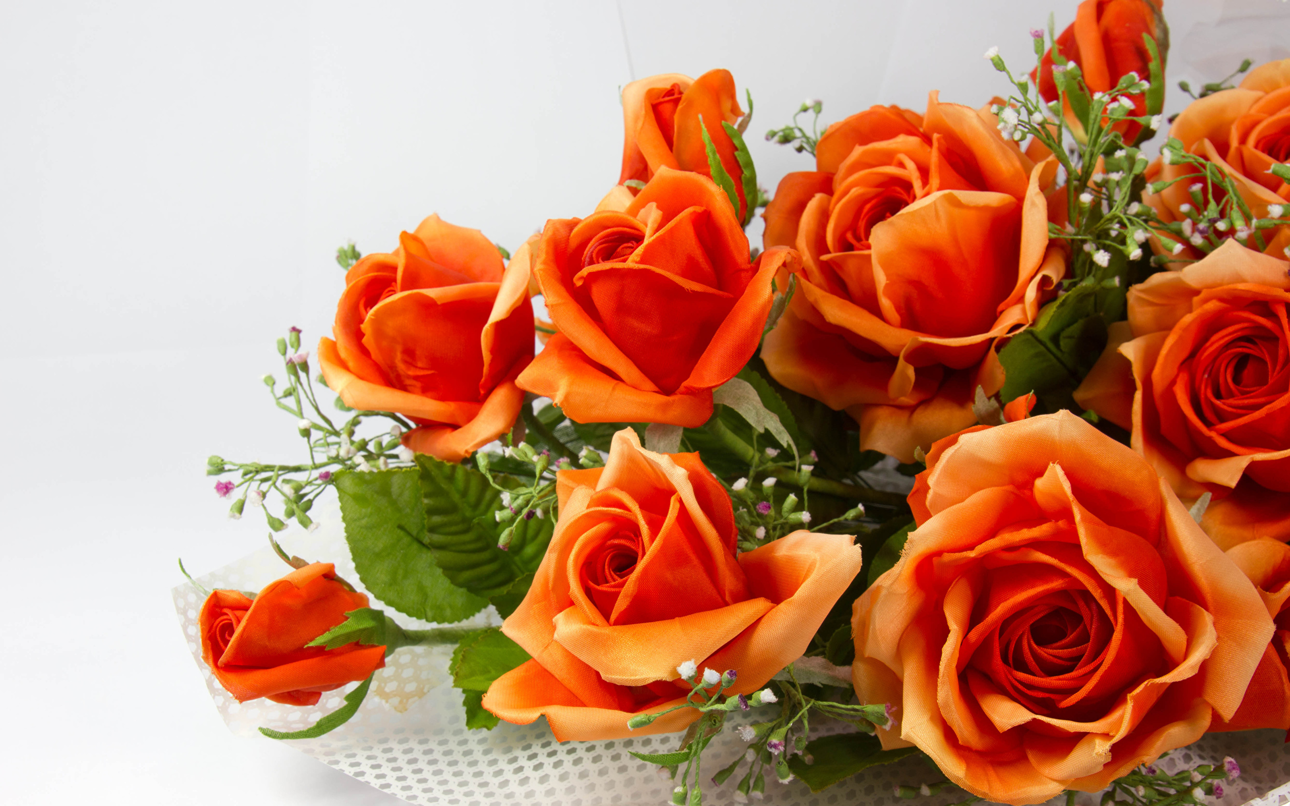 Фото оранжевых роз