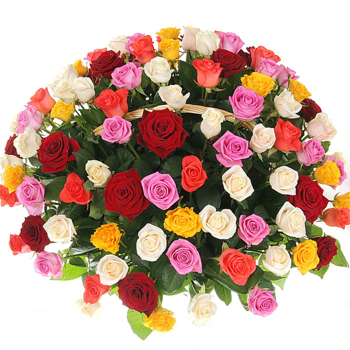 Разноцветные розы в корзине (75, 101 или151 шт.)
