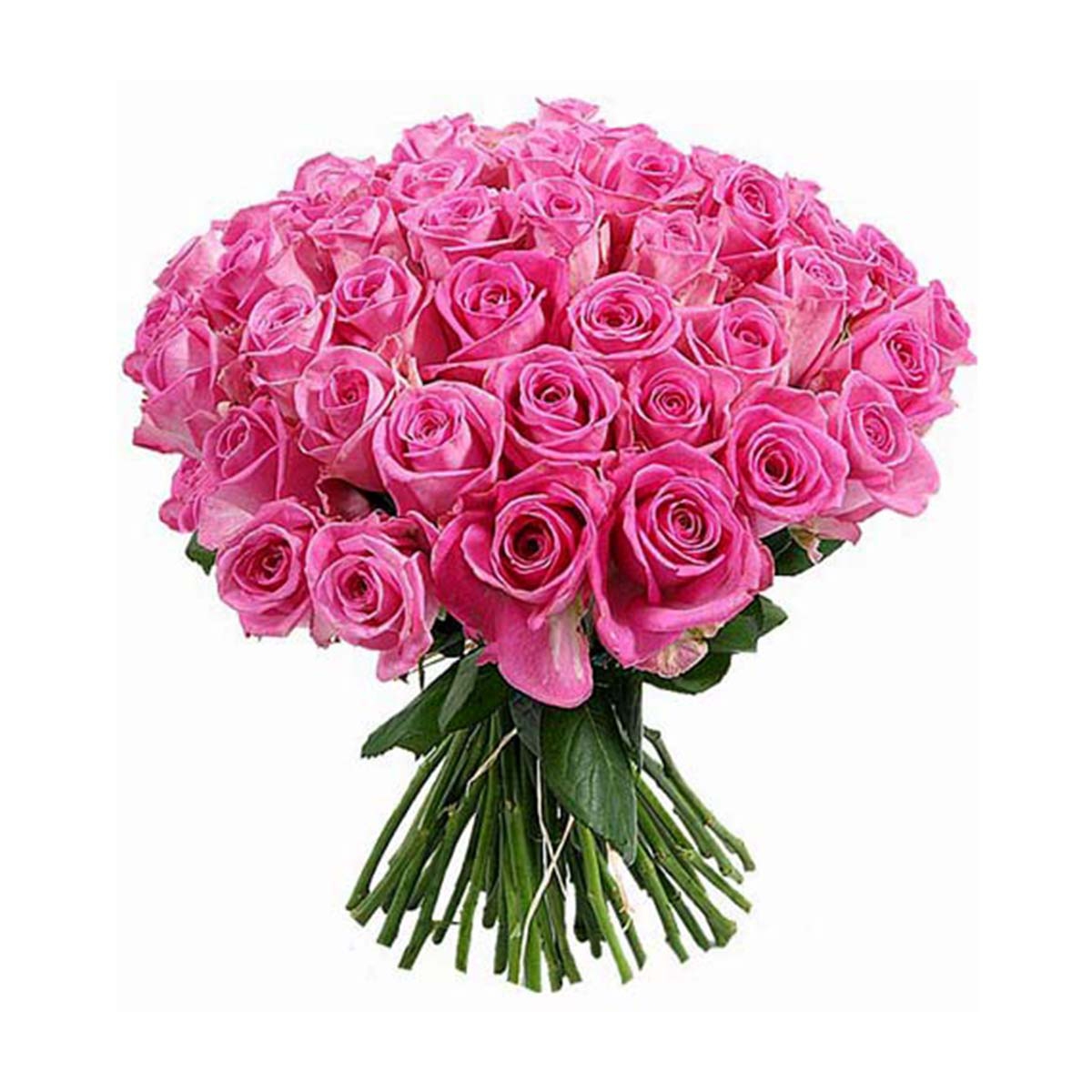 Букет из розовых роз (от 15 шт.)