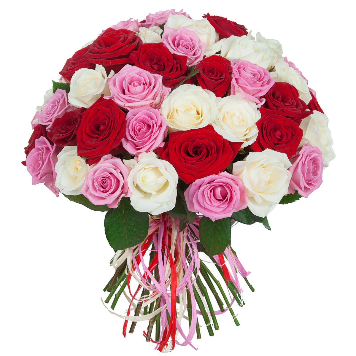 Букет из 51 красной, белой и розовой розы