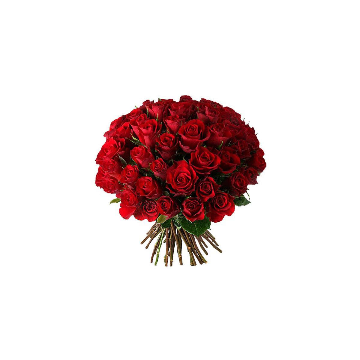 Букет из 51/101 красной розы "Аленький цветочек"