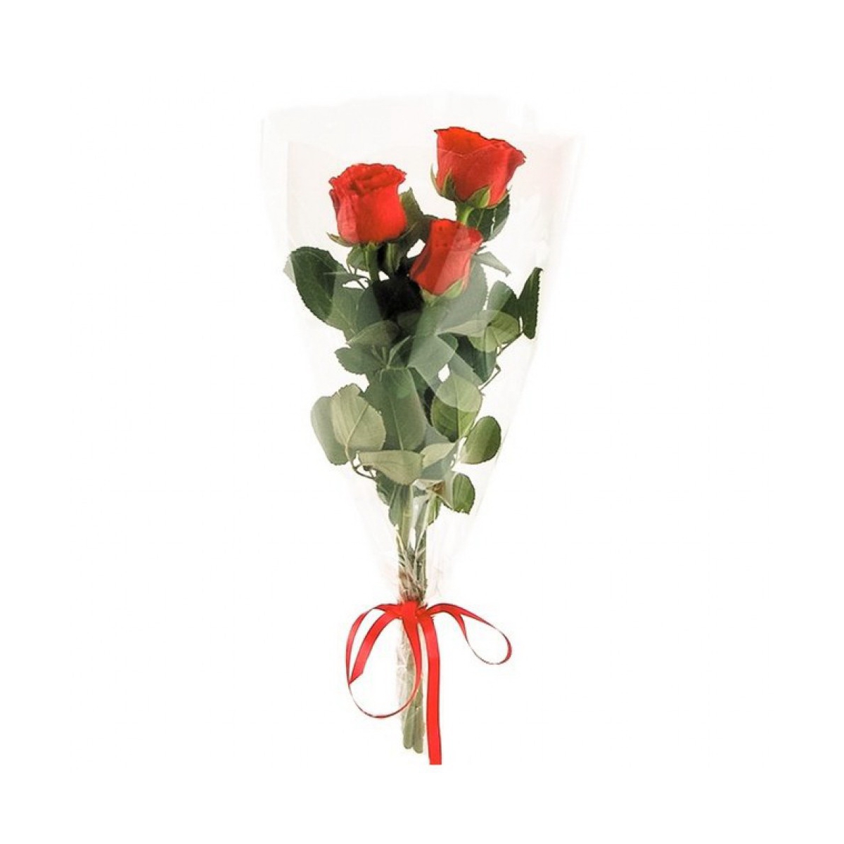 Розы длинные  в упаковке (только Опт от 3000 руб.)