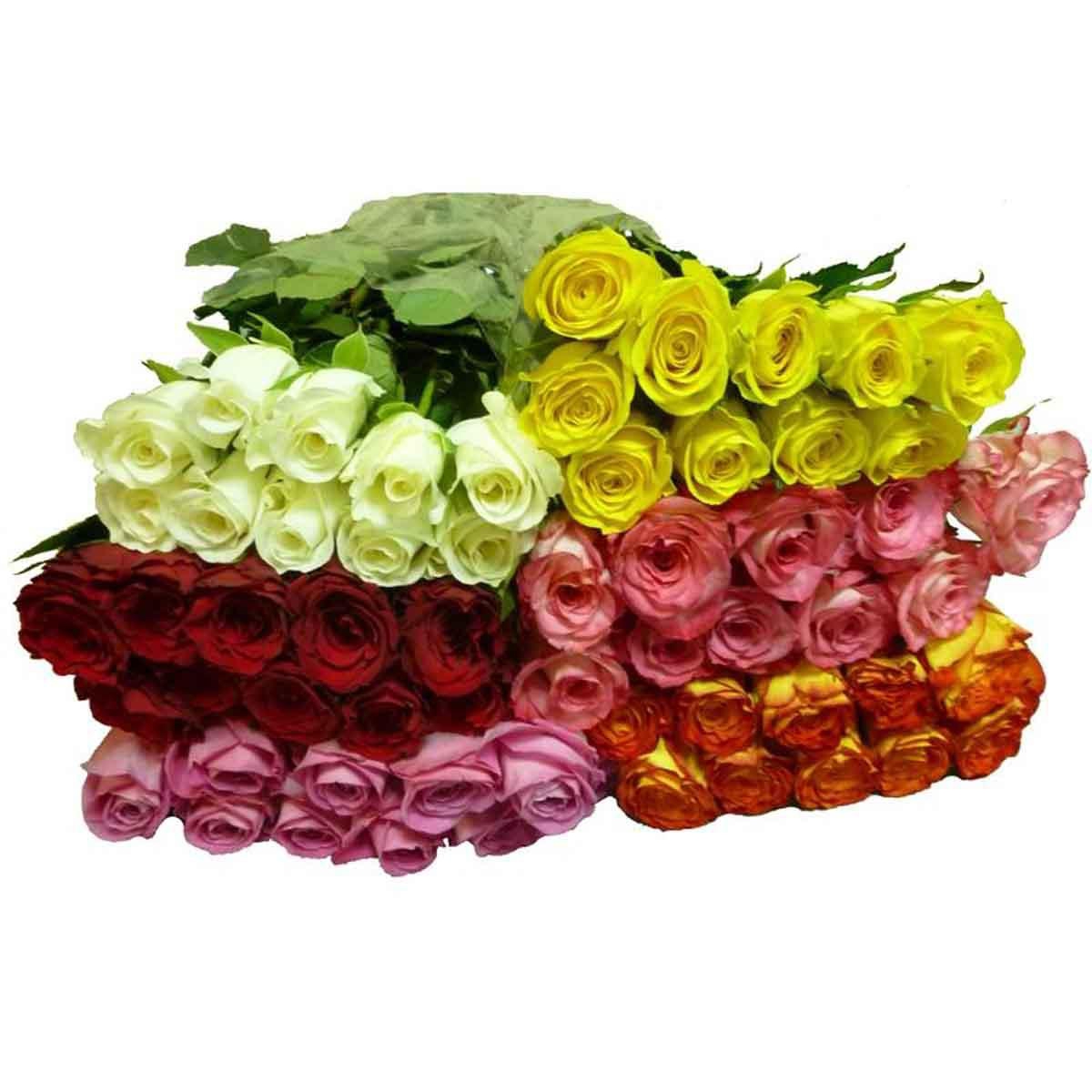 Розы 40 см  в упаковке (только Опт от 5000 руб.)