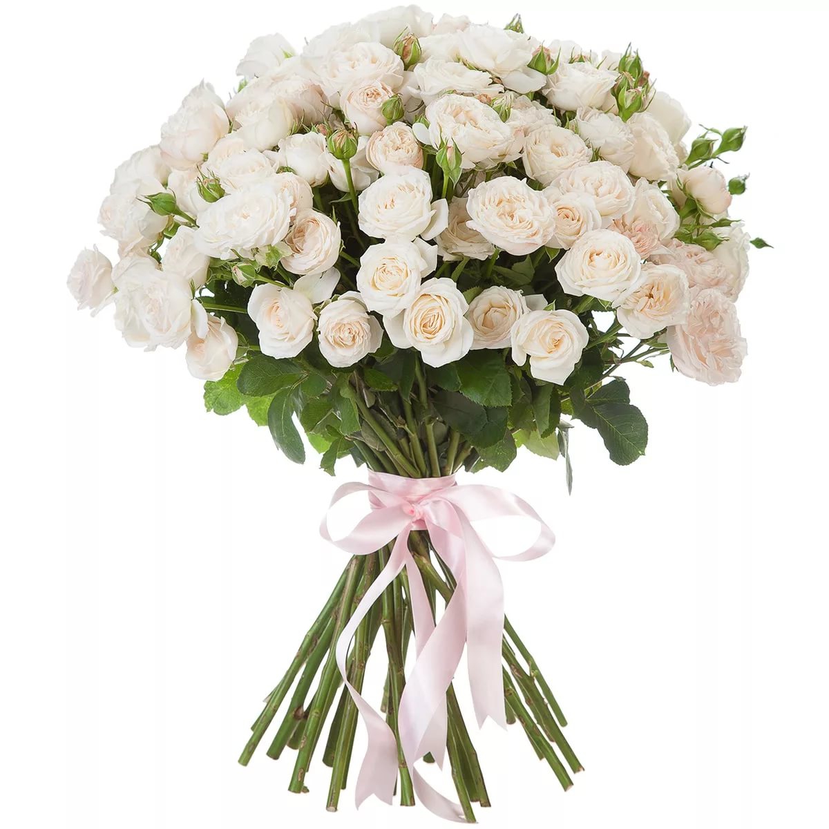 Букет из 25 белых кустовых роз