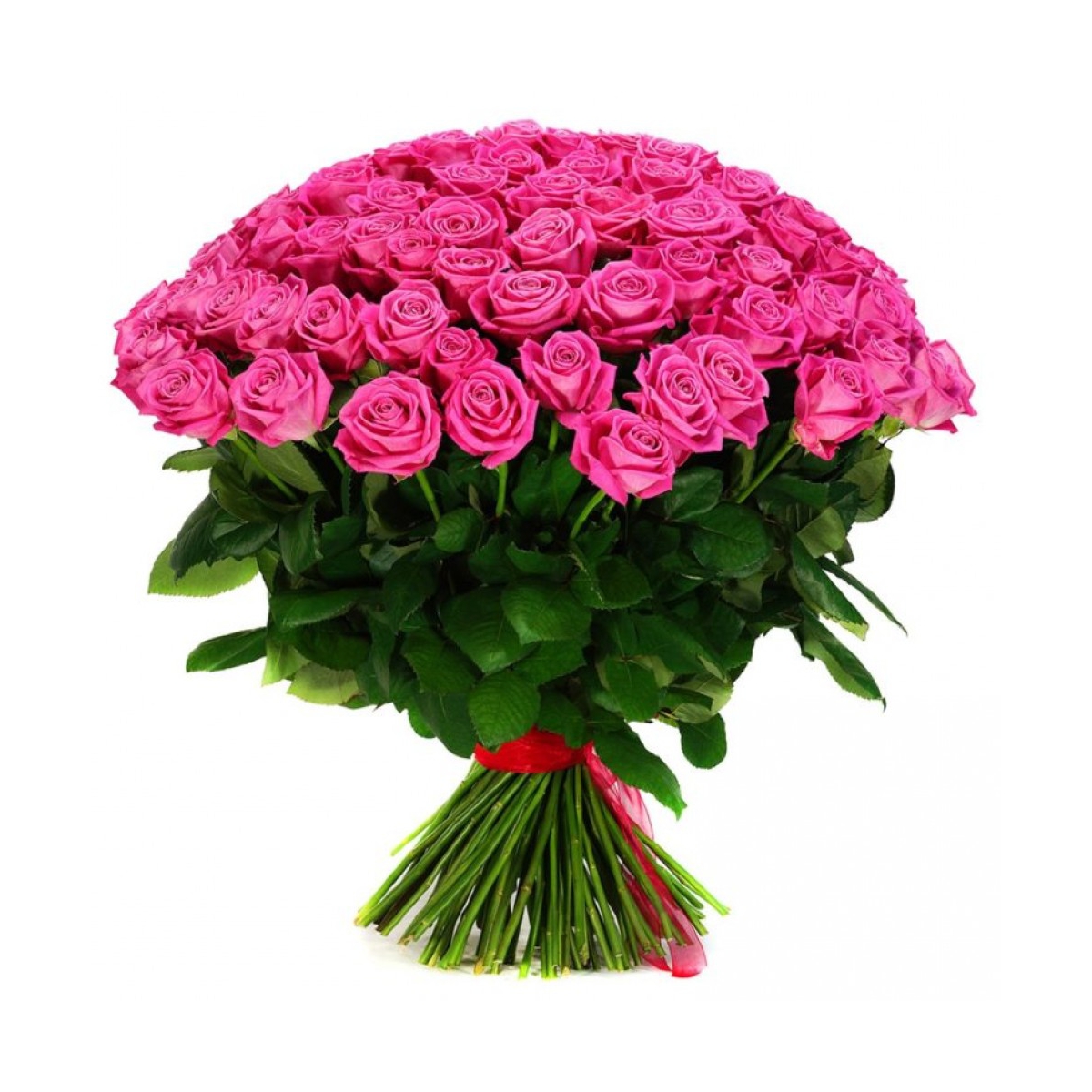 Букет из 55 роз "Любовный настрой"