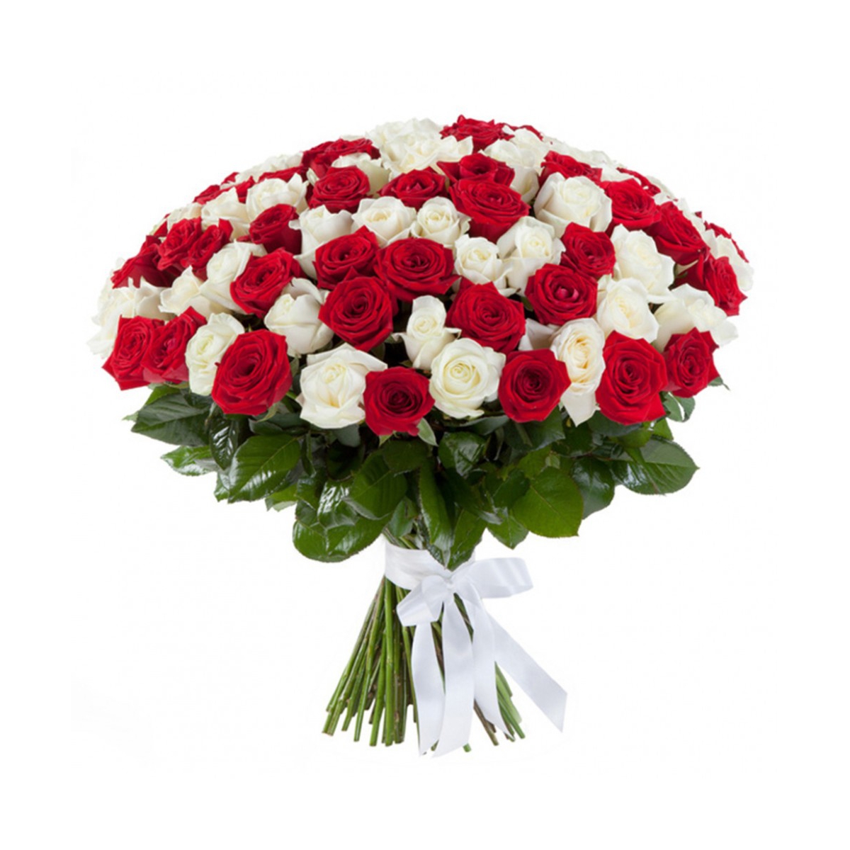 Букет из 101 розы "Белое и красное"