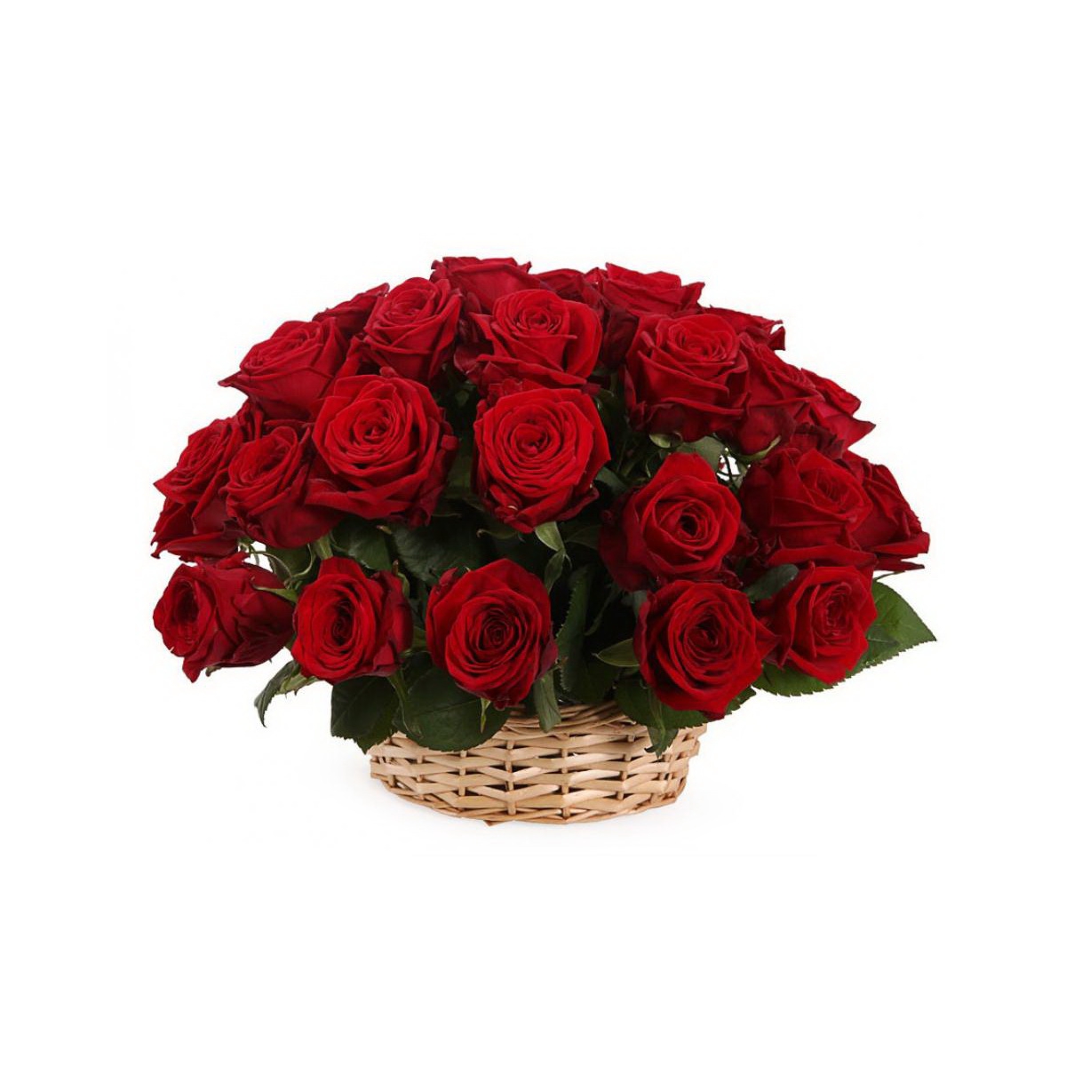 Корзина из 25 красных роз "Престиж"