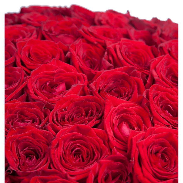 Букет из 151 розы Клубничный фреш . Фото 1