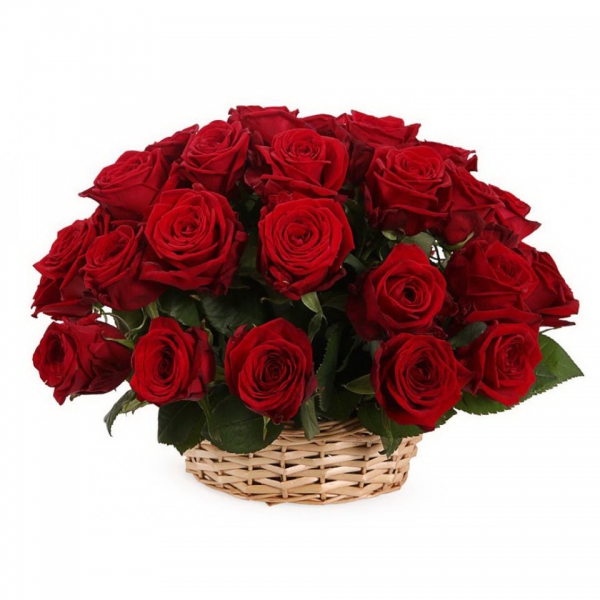Корзина из 25 красных роз "Престиж"