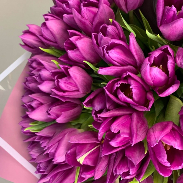Букет тюльпанов "Пурпур". Фото 3