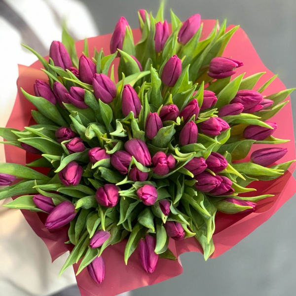 Букет тюльпанов "Виолет". Фото 4
